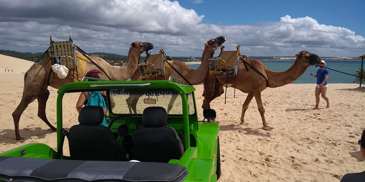 Retrospectiva DinoBuggy 2017