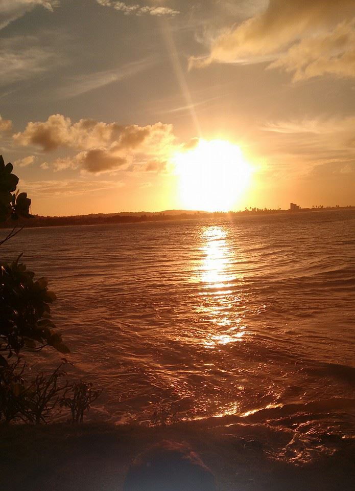 jenipabu