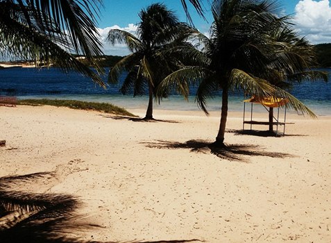Passeios de Buggy em abril