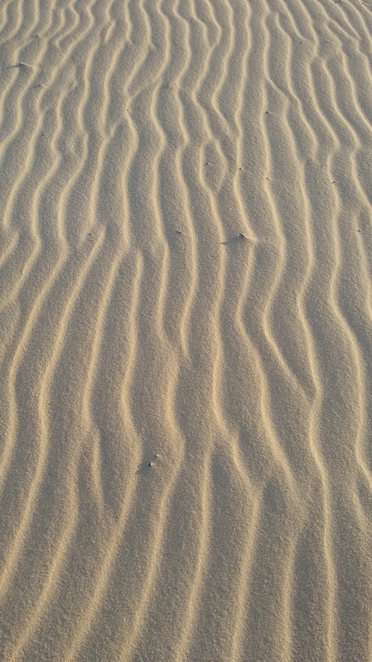 mosaico-de-dunas